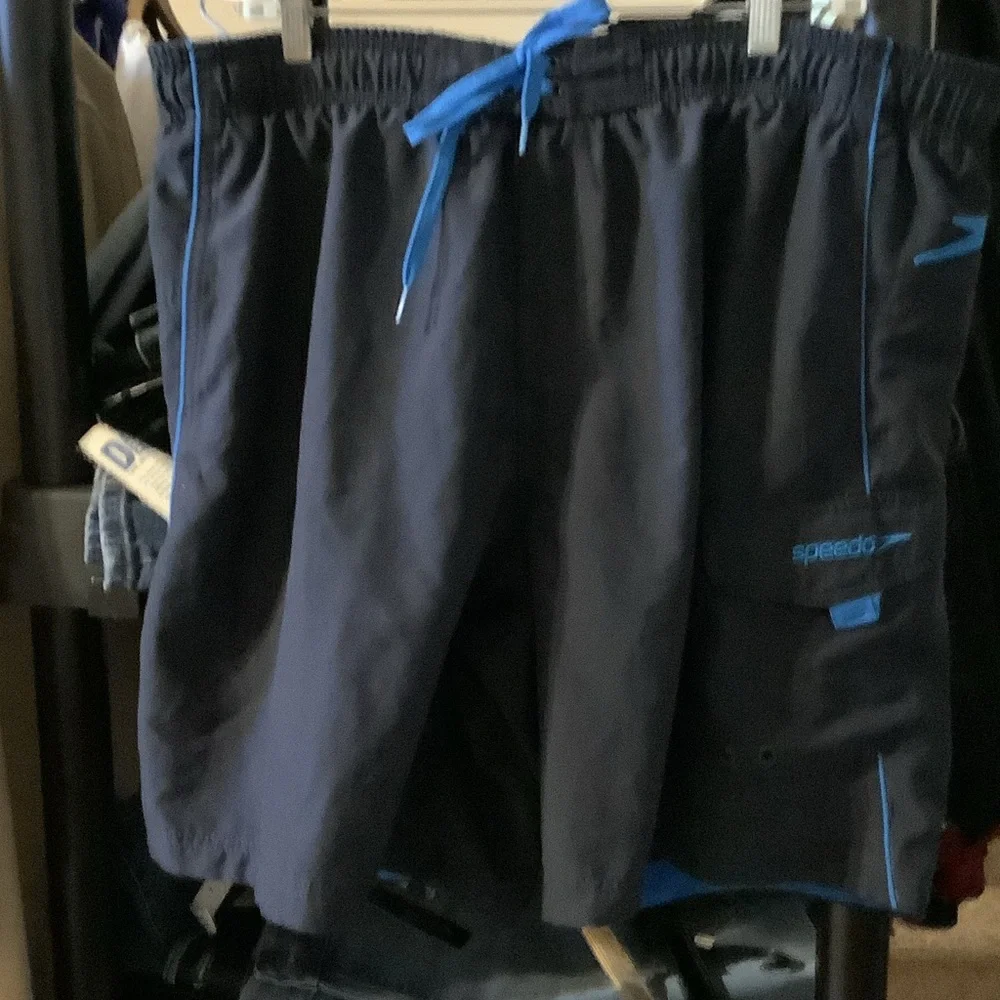 Speedo Dark Swim Shorts‎ with Blue Highlights